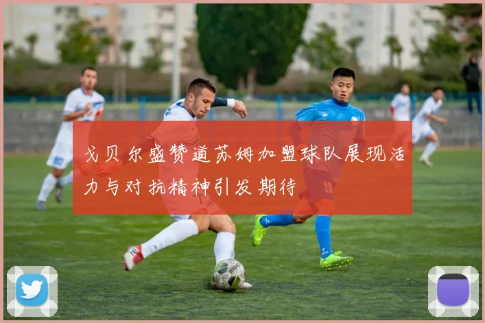 戈贝尔盛赞道苏姆加盟球队展现活力与对抗精神引发期待