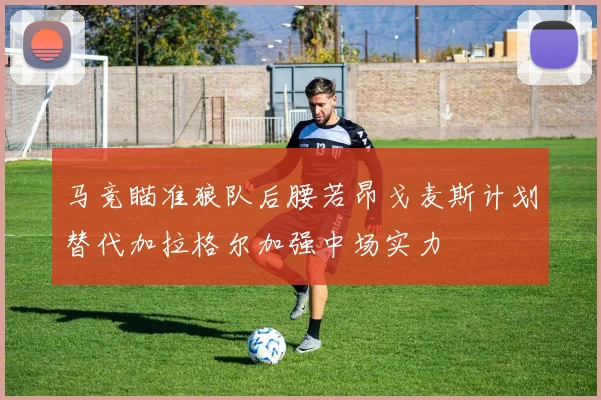 马竞瞄准狼队后腰若昂戈麦斯计划替代加拉格尔加强中场实力