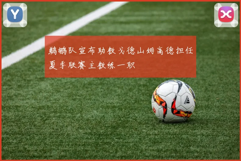 鹈鹕队宣布助教戈德山姆高德担任夏季联赛主教练一职