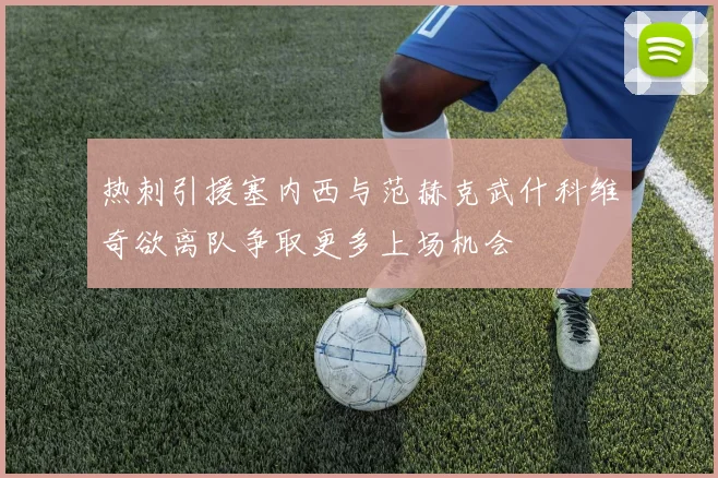 热刺引援塞内西与范赫克武什科维奇欲离队争取更多上场机会